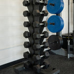 10 Pair Vertical Dumbbell Rack